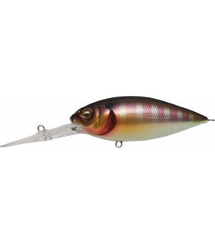 Amazon.co.jp: メガバス(Megabass) DEEP-X 200 LBO GG ギル : スポーツ